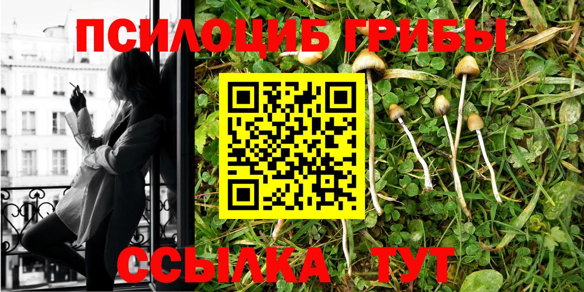 Галлюциногенные грибы прущие грибы Надым