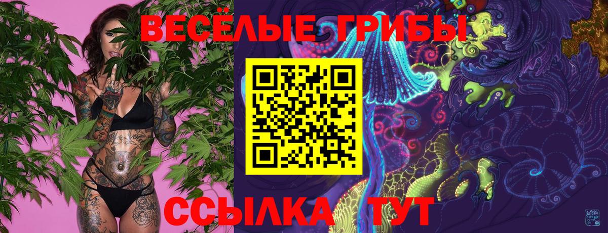 Надым  Псилоцибиновые грибы Psilocybe  Вход с VPN  Галлюциногенные грибы мухоморы 